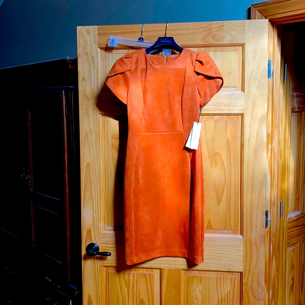 Calvin Klein burnt orange suede sheath dress